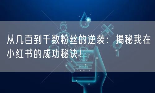 从几百到千数粉丝的逆袭：揭秘我在小红书的成功秘诀！