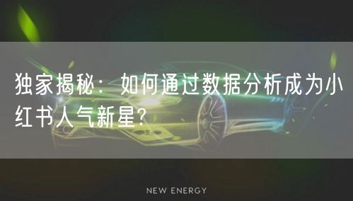 独家揭秘：如何通过数据分析成为小红书人气新星?