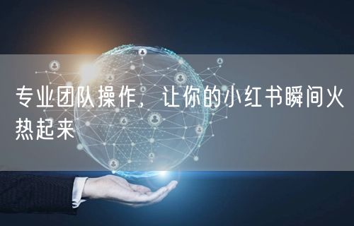 专业团队操作，让你的小红书瞬间火热起来