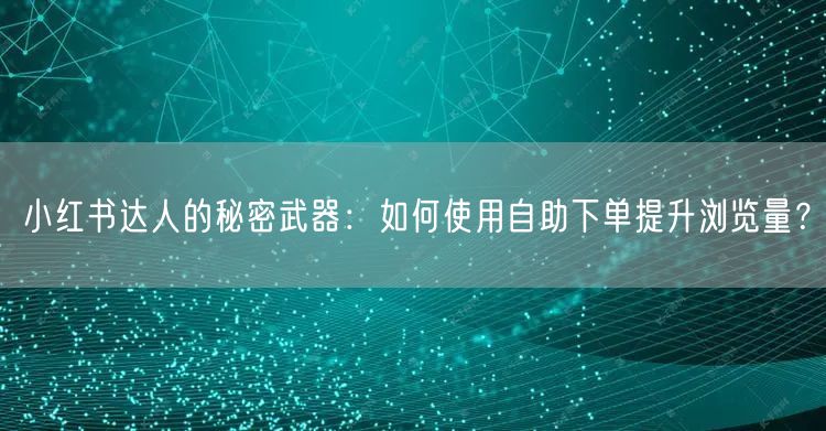 小红书达人的秘密武器：如何使用自助下单提升浏览量？