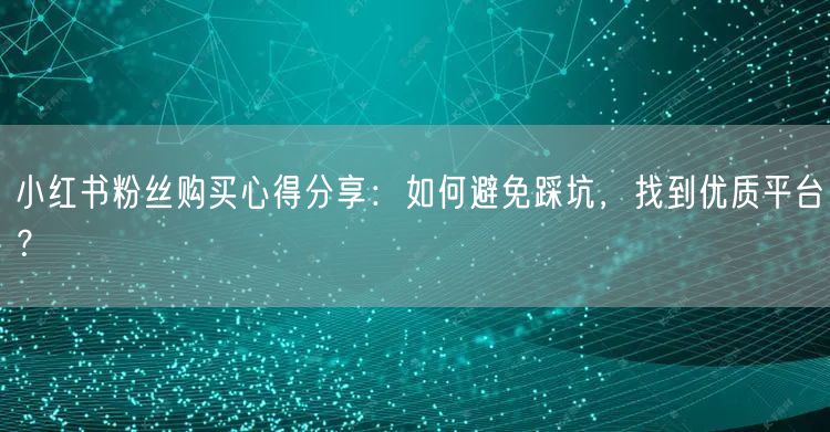 小红书粉丝购买心得分享：如何避免踩坑，找到优质平台？