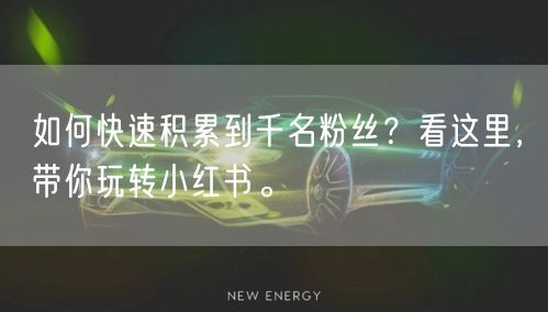 如何快速积累到千名粉丝？看这里，带你玩转小红书。