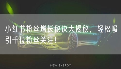 小红书粉丝增长秘诀大揭秘，轻松吸引千位粉丝关注！