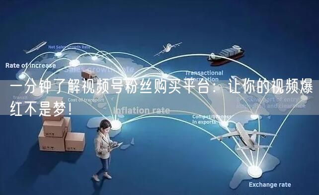 一分钟了解视频号粉丝购买平台：让你的视频爆红不是梦！