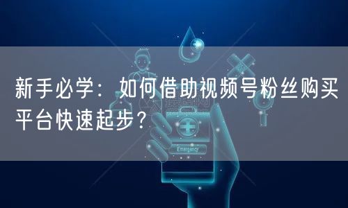 新手必学：如何借助视频号粉丝购买平台快速起步？