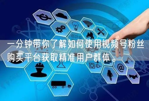 一分钟带你了解如何使用视频号粉丝购买平台获取精准用户群体。