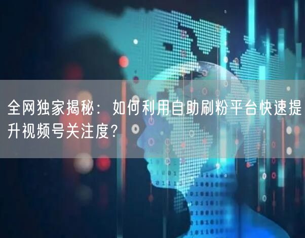 全网独家揭秘:如何利用自助刷粉平台快速提升视频号关注度?