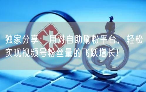独家分享：用对自助刷粉平台，轻松实现视频号粉丝量的飞跃增长！