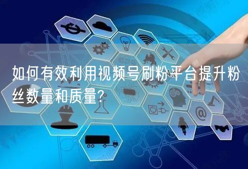 如何有效利用视频号刷粉平台提升粉丝数量和质量?