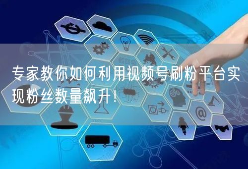 专家教你如何利用视频号刷粉平台实现粉丝数量飙升！