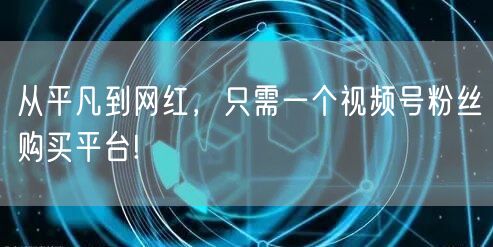从平凡到网红，只需一个视频号粉丝购买平台