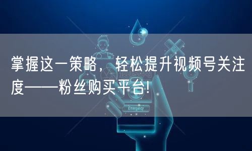 掌握这一策略，轻松提升视频号关注度——粉丝购买平台!