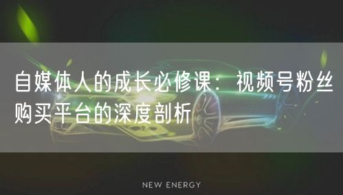 自媒体人的成长必修课：视频号粉丝购买平台的深度剖析