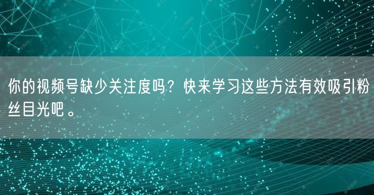 你的视频号缺少关注度吗？快来学习这些方法有效吸引粉丝目光吧。