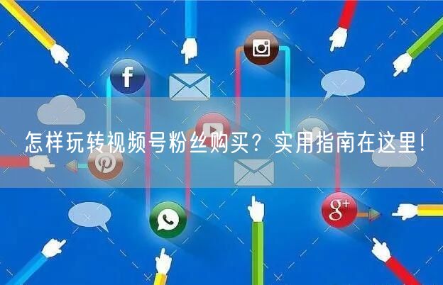 怎样玩转视频号粉丝购买？实用指南在这里！