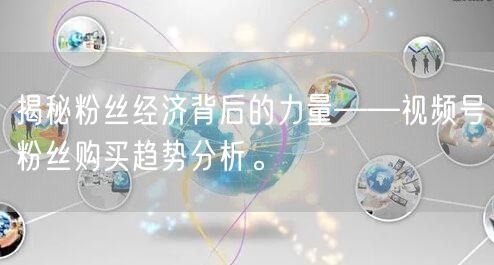 揭秘粉丝经济背后的力量——视频号粉丝购买趋势分析。