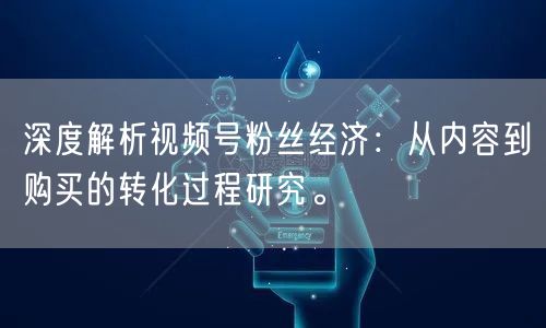 深度解析视频号粉丝经济：从内容到购买的转化过程研究。