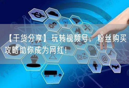 【干货分享】玩转视频号，粉丝购买攻略助你成为网红！