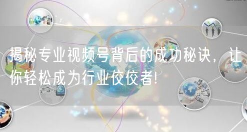 揭秘专业视频号背后的成功秘诀，让你轻松成为行业佼佼者!