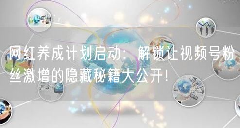 网红养成计划启动：解锁让视频号粉丝激增的隐藏秘籍大公开！