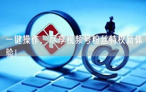 一键操作，尽享视频号粉丝特权新体验！