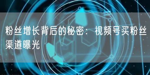 粉丝增长背后的秘密：视频号买粉丝渠道曝光
